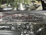 432045 (2)